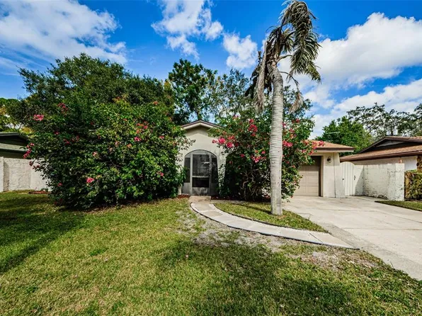 80 Suncrest Dr, Safety Harbor, FL 34695