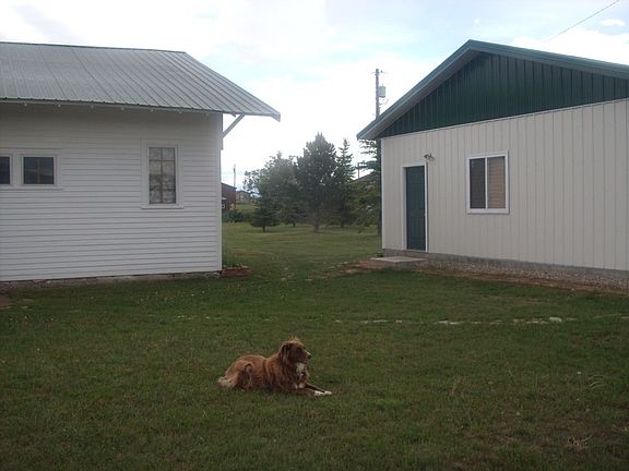 Dog not included