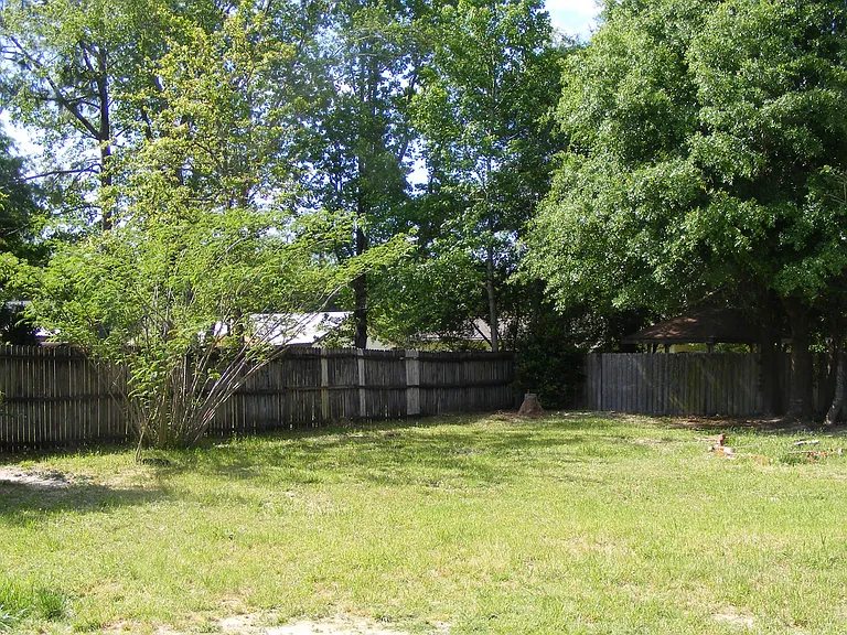 backyard