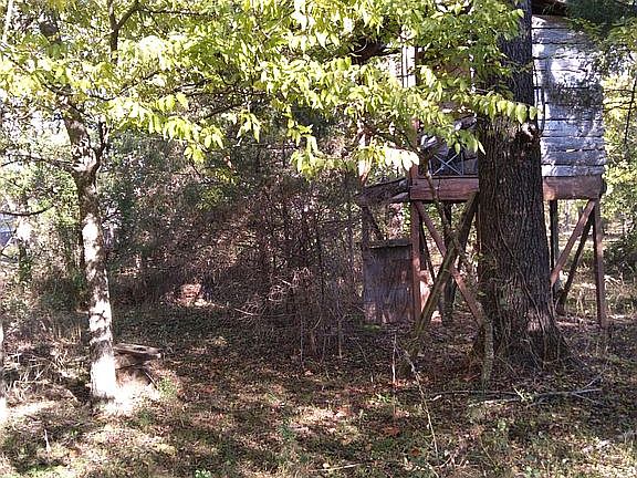 Treehouse ready for kids