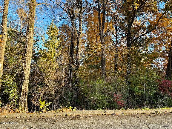 4th image of 47 Hinkle Rd Lot 47
