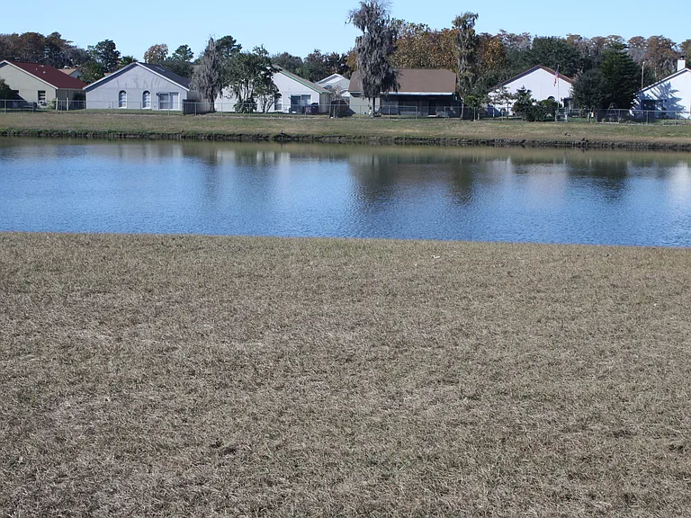 VIEW OF POND