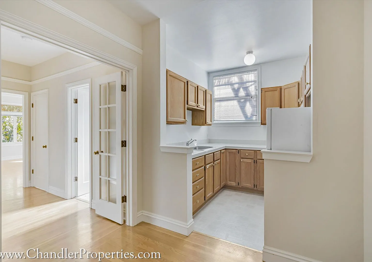 1545 Green Street — Photo 1