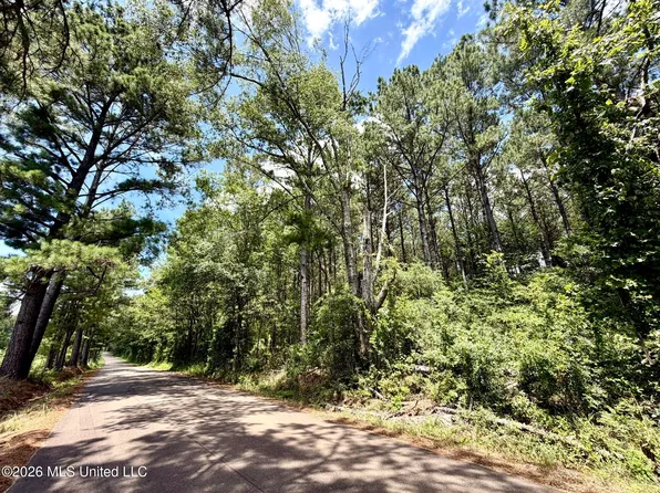 W Lincoln Dr SW, Smithdale, MS 39664
