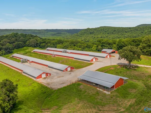 452 Forman Bottoms Rd, Somerville, AL 35670