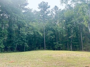 Brandon St, Troup, TX 75789