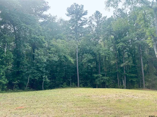 Brandon St, Troup, TX 75789