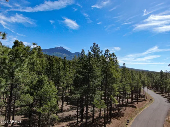 7690 W TAYLOR SPRINGS Lane #63, Flagstaff, AZ 86001