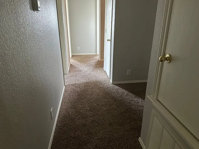 10627 Shaenpath — Photo 32