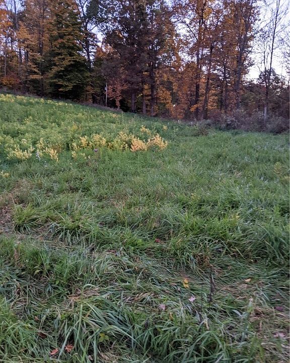 1st image of 209 Township Rd
