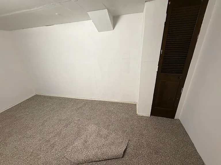 Bonus Basement Room