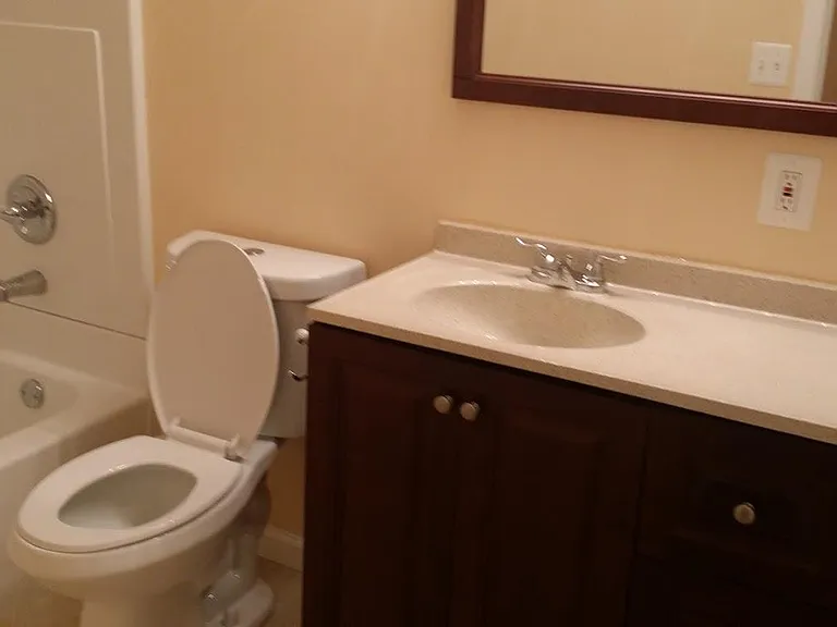 Basement Bathroom