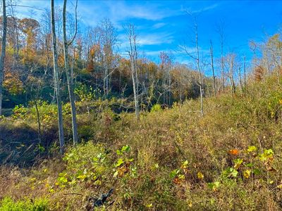 9108 S 501st, Liberty, KY, 42539