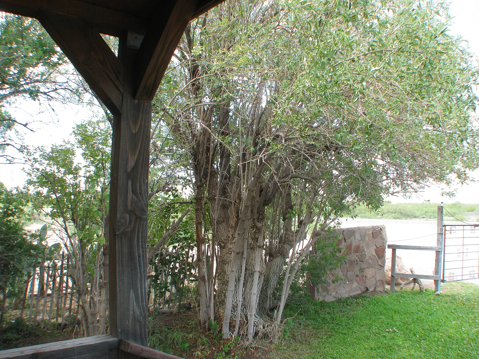 2 bed, 900 sqft, $475 — Photo 4
