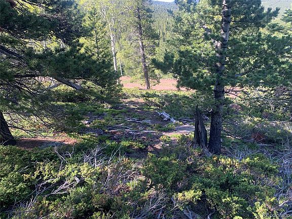 5th image of 3207 VAUGHN Lane LOT 3207