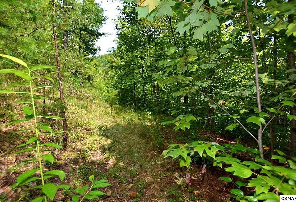 1st image of 68 Big Bear Ridge Rd Lot 68