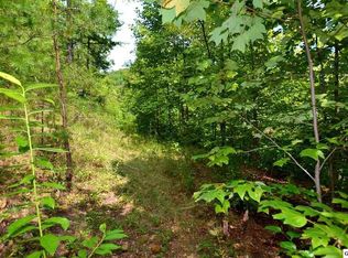 68 Big Bear Ridge Rd LOT 68, Gatlinburg, TN 37738