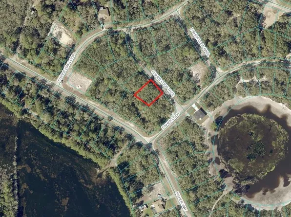 0 Fisher Loop #11, Ocklawaha, FL 32179