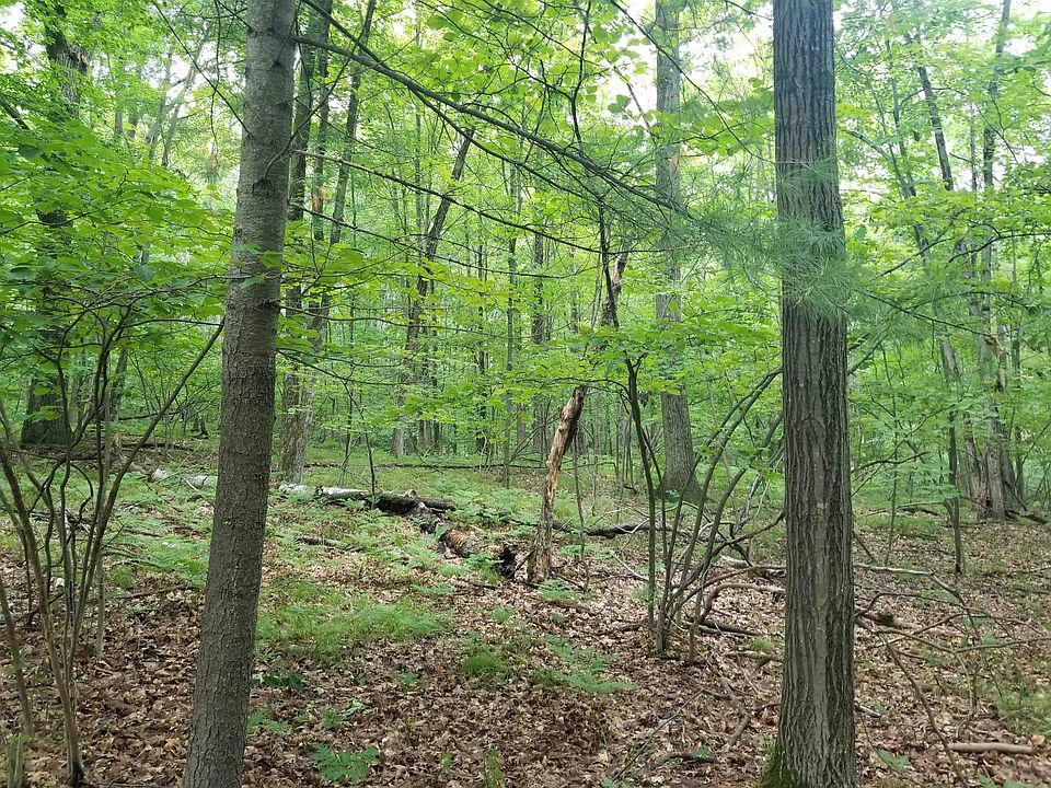 1st image of LOT 213 Maple Dr