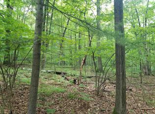 LOT 213 Maple Dr, Farwell, MI 48622
