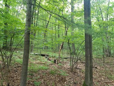 LOT 213 Maple Dr, Farwell, MI, 48622