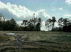 1st image of 3706 Crawfordville Court