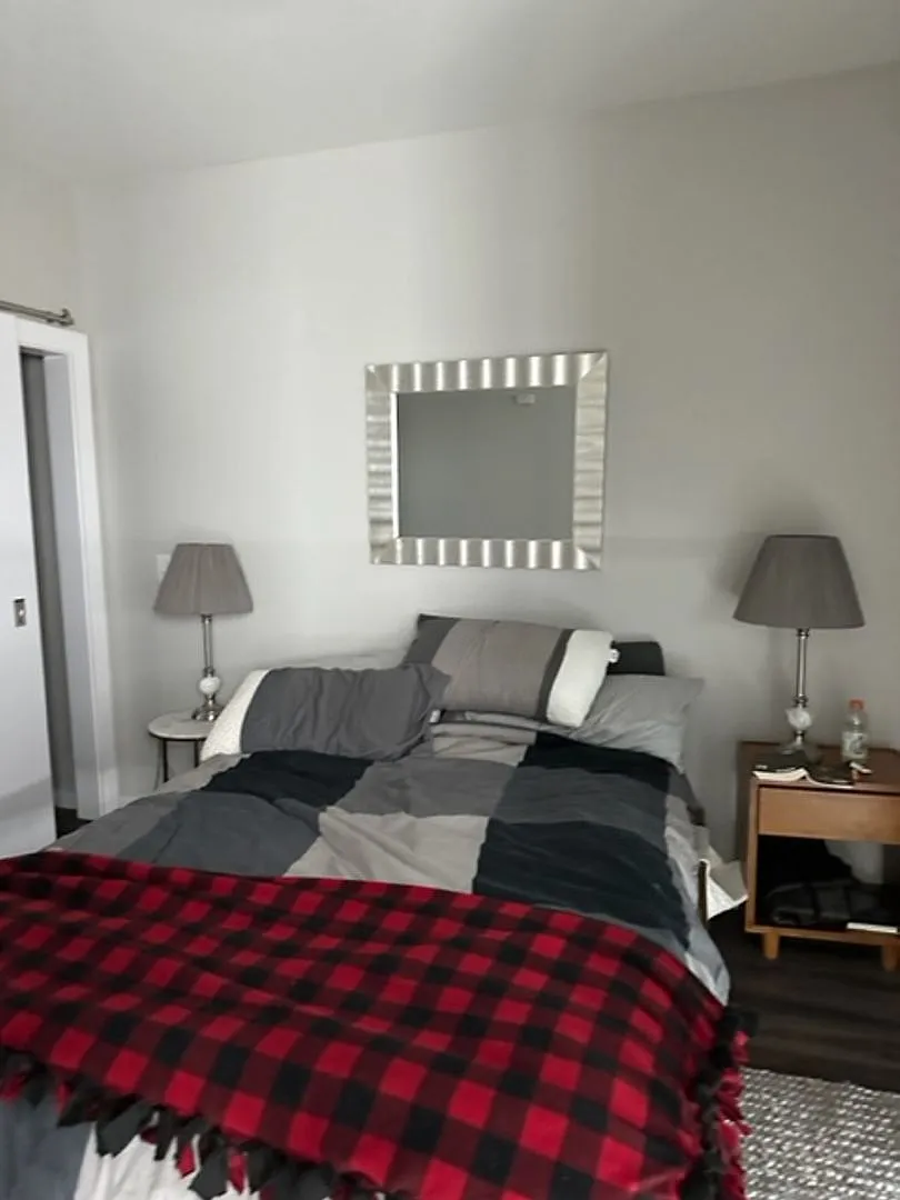 Furnished 1 bed 1 bath apartment close to MSU — Photo 4
