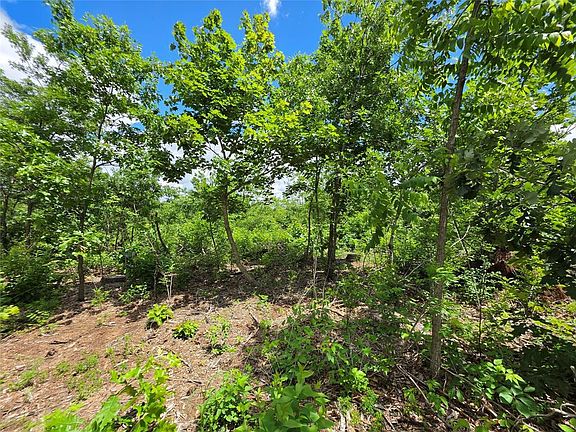 4th image of Lot 7 370th Avenue