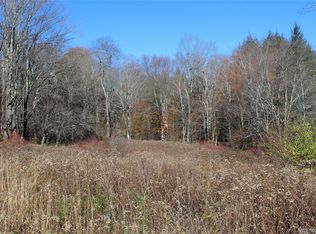 336 Dutch Hill Road, Call Listing Agent, NY 12776