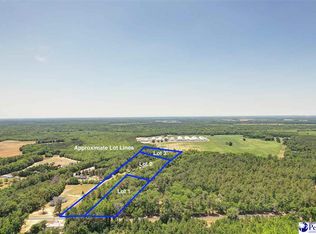 1132 W Lynches River Rd, Lamar, SC 29069