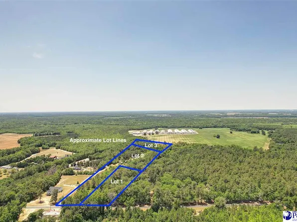 1132 W Lynches River Rd, Lamar, SC 29069
