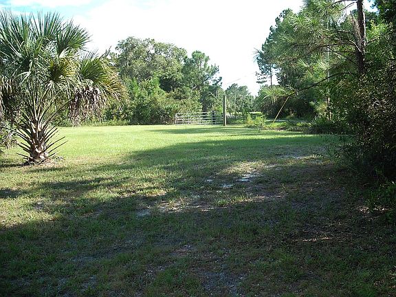 Front Clearing Looking South