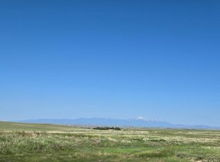 Soapweed, Calhan, CO 80808