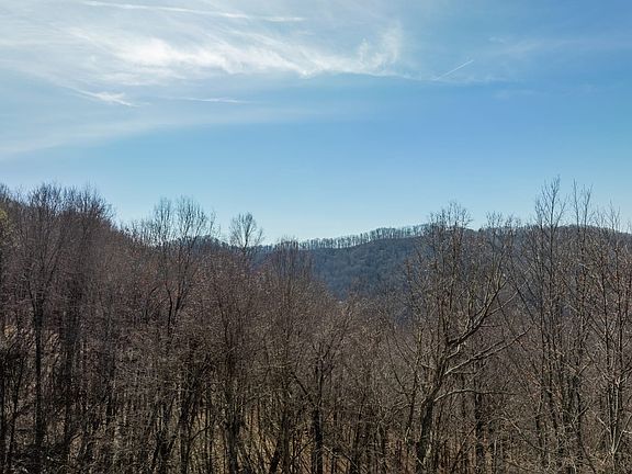 5th image of 64 Grizzly Rdg