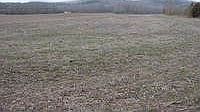 1st image of 3341 Highway 156