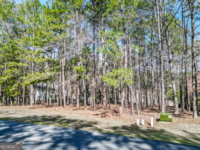 1050 Club Cove Dr, Greensboro, GA, 30642