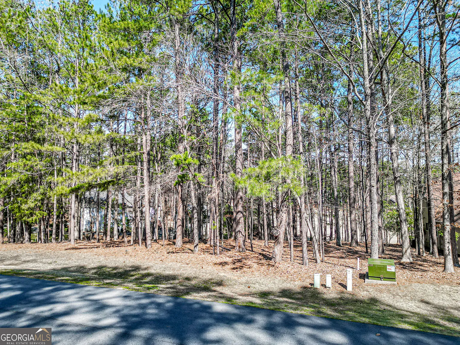 1050 Club Cove Dr photo 1