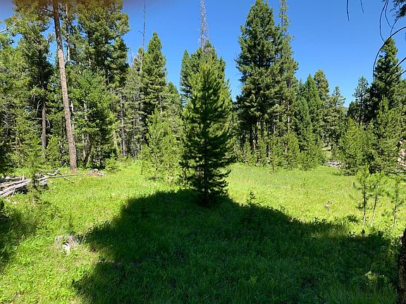 2nd image of 25 Elk Meadows Ln