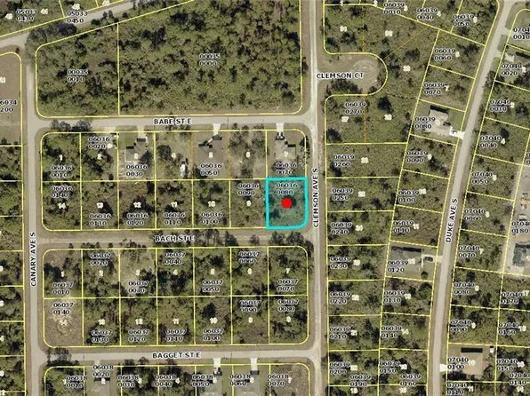 1027 Bach St E, Lehigh Acres, FL 33974