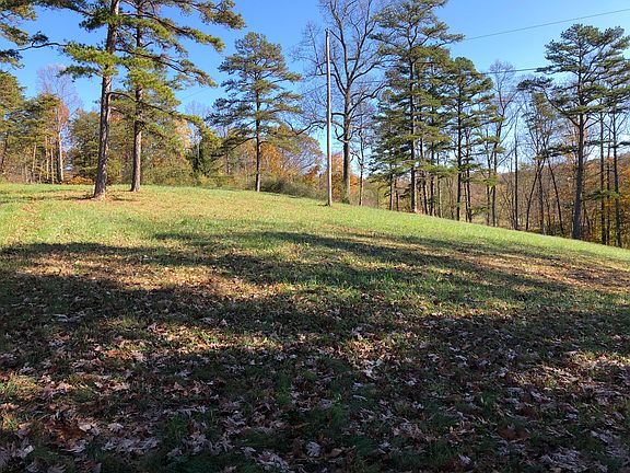 5th image of 12254 Staunton Tpke