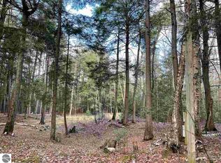 E Side Dr, Beaver Island, MI 49782