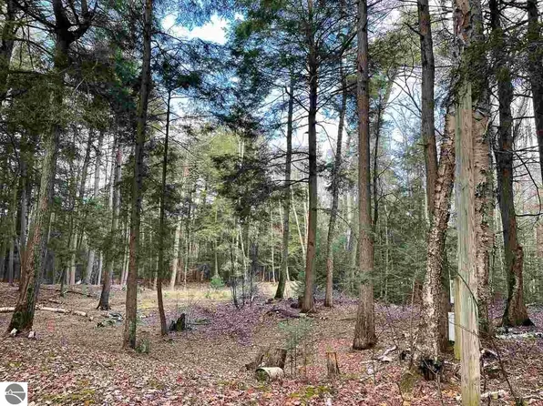 E Side Dr, Beaver Island, MI 49782