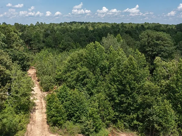 0 Brewer Rd, Big Sandy, TN 38221