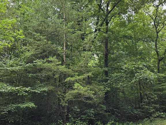 2nd image of LOT 135 Lower Brow Rd