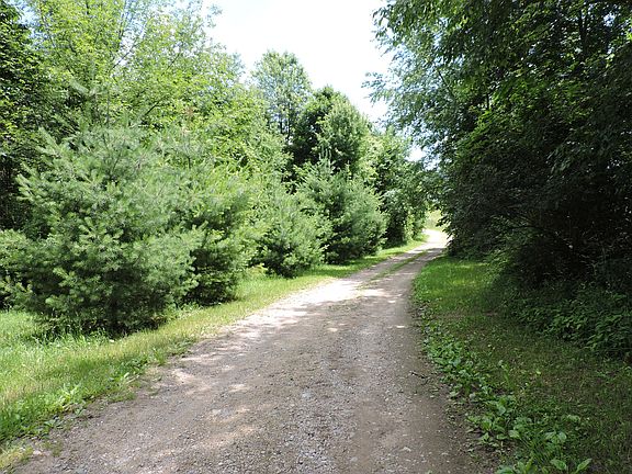 3rd image of 56707 County Road 681