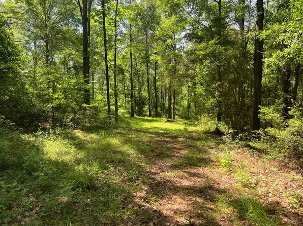0 County Road 245, Elba, AL 36323
