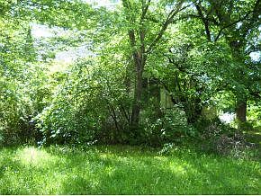 2nd image of 10679 Fir Rd