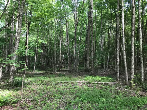 7 Hobbstown Rd, Dunlap, TN 37327