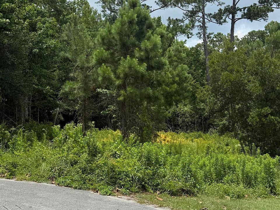 2nd image of 1015 Meridian Drive