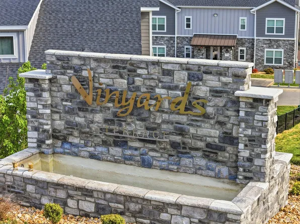3109 S Vineyards Terrace #3, Branson, MO 65616